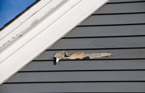  Cotati, CA Siding Installation Pros