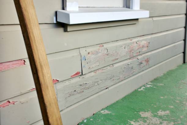 Best Siding for New Construction  in Cotati, CA