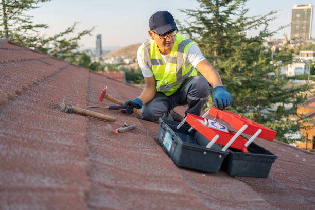Best Aluminum Siding Installation  in Cotati, CA