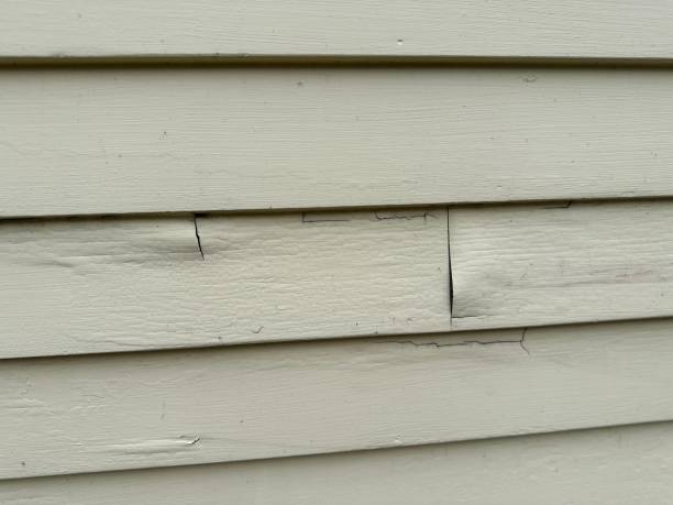 Best Custom Siding Design  in Cotati, CA